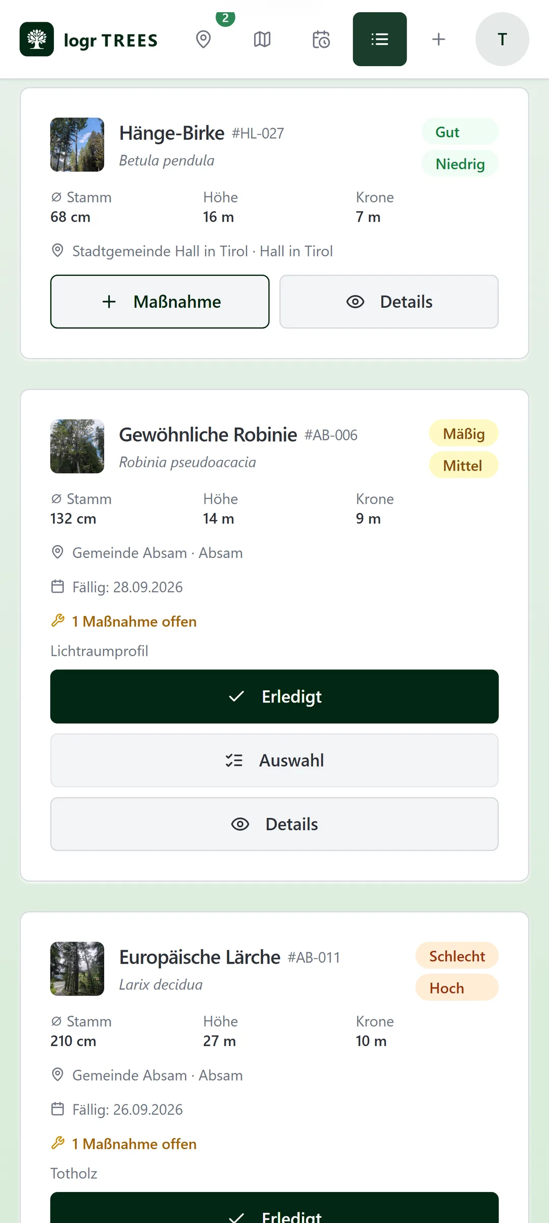 Gemeinsamer Baumbestand einer Organisation mit Bäumen aus Hall in Tirol und Absam samt Zustands- und Risiko-Badges