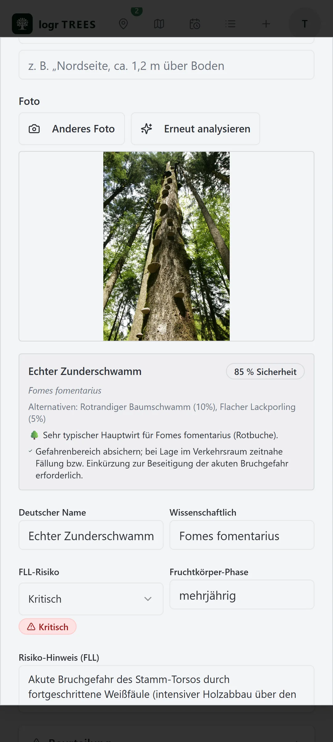 KI-gestützt erkannter Baumpilz (Zunderschwamm, Fomes fomentarius) am Stamm