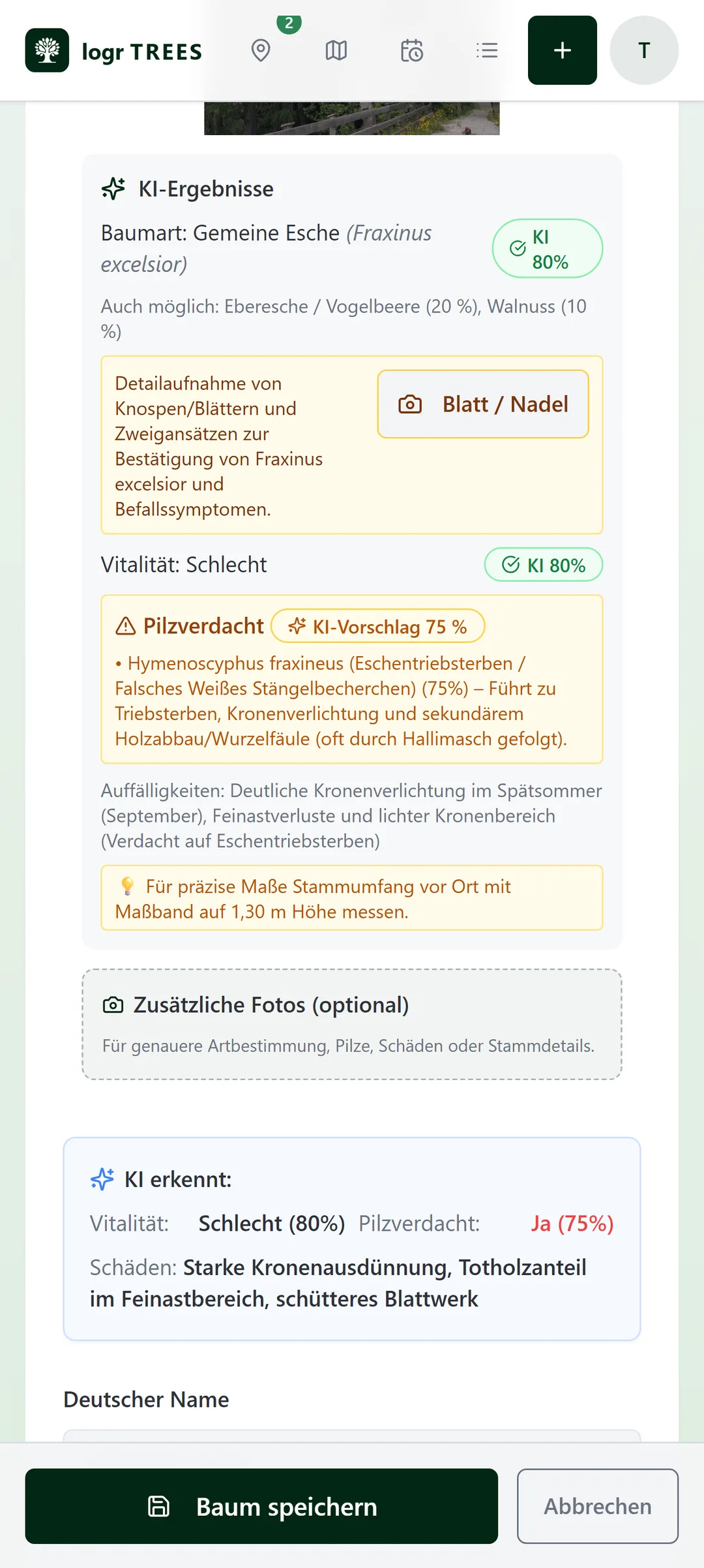 KI-Ergebnis beim Erfassen: Baumart Gemeine Esche mit 80 %, Vitalität schlecht und erkannte Auffälligkeiten